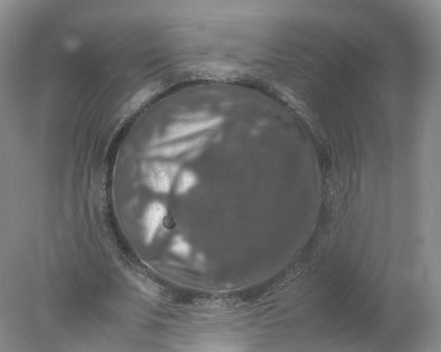 X0000078020679200611101847