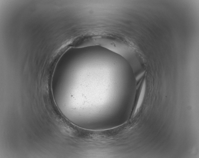 X0000078020681200611101847