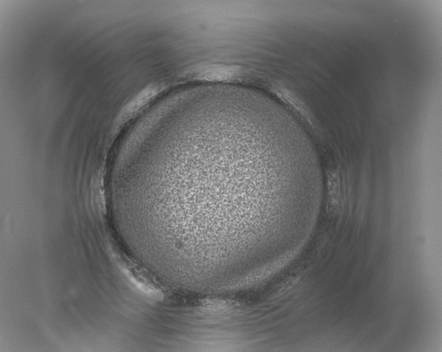 X0000078020682200611101847