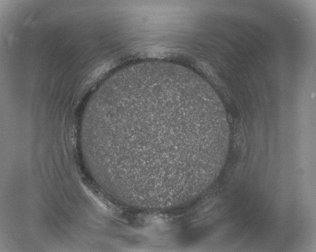 X0000078020683200611101847