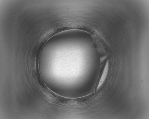 X0000078020685200611101847