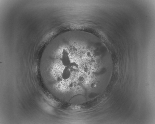 X0000078020687200611101847