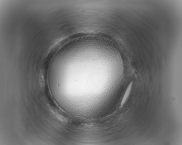 X0000078020688200611101847