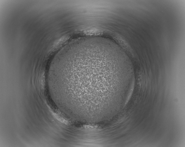 X0000078020690200611101847