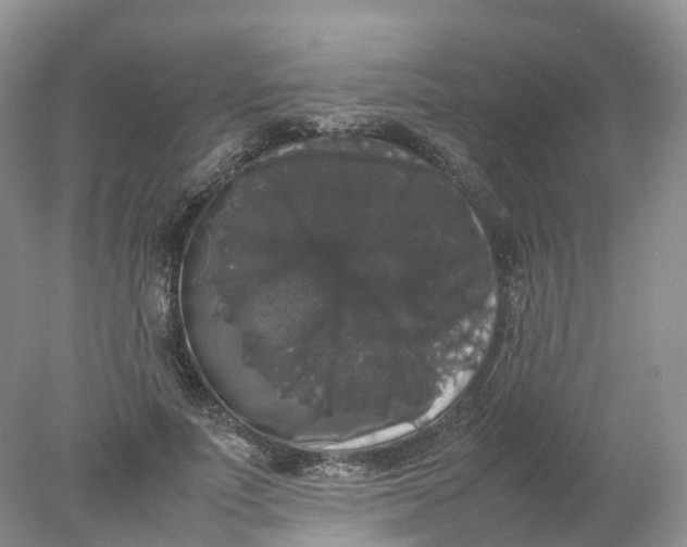 X0000078020691200611101847