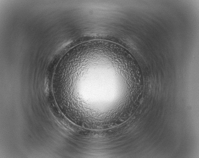 X0000078020692200611101847