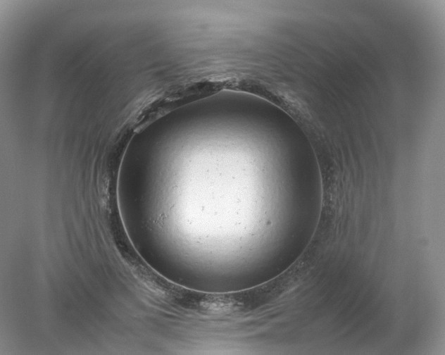 X0000078020693200611101847