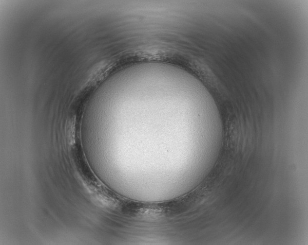 X0000078020694200611101847