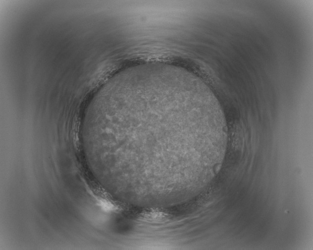 X0000078020695200611101847