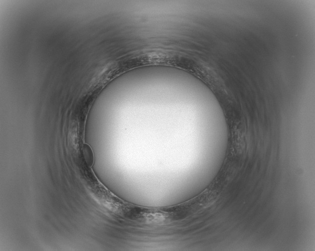 X0000078020698200611101847