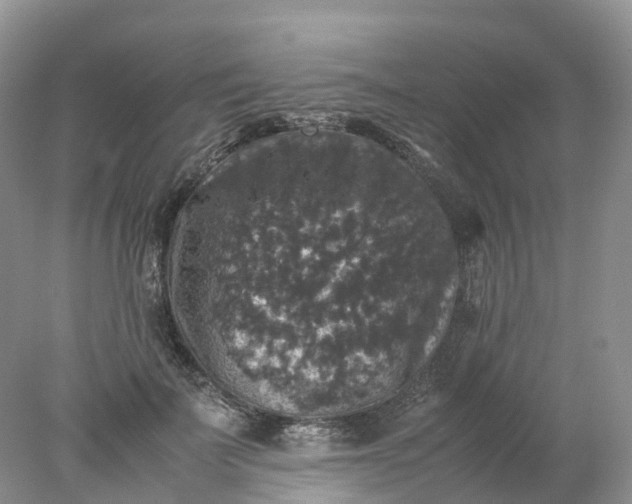 X0000078020699200611101847