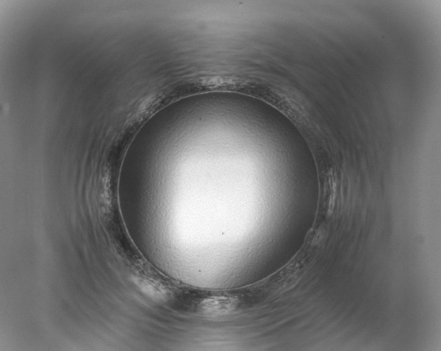 X0000078020700200611101847