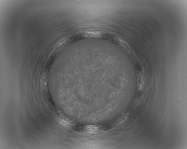 X0000078020701200611101847