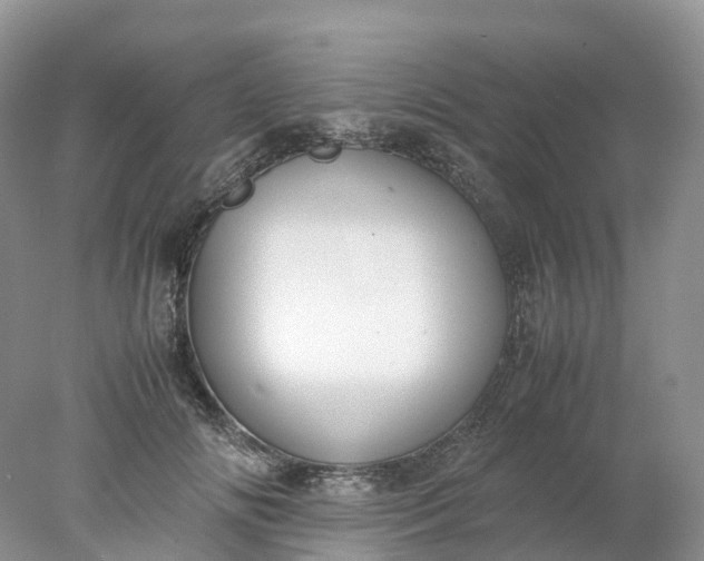 X0000078020702200611101847