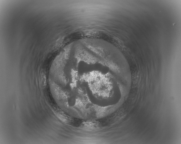 X0000078020703200611101847