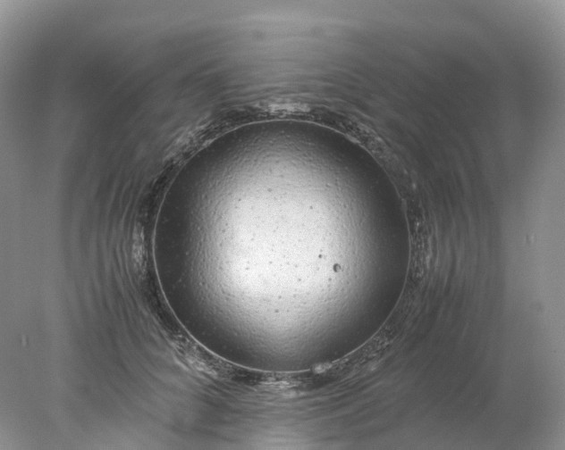 X0000078020704200611101847