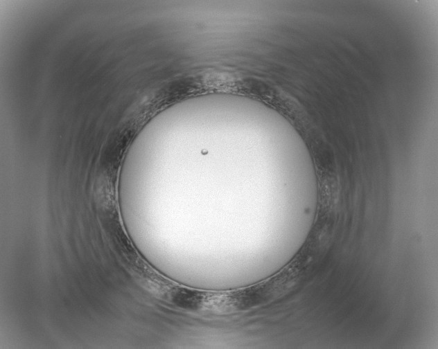 X0000078020705200611101847