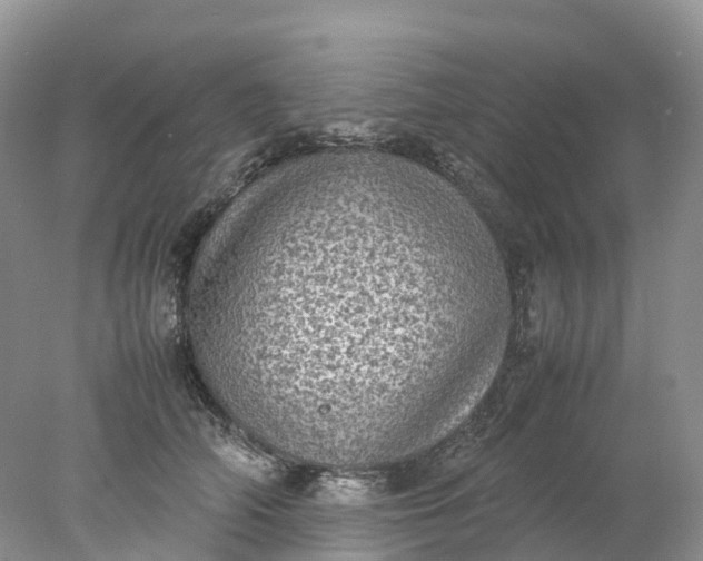 X0000078020706200611101847