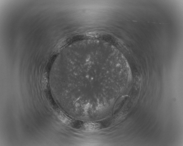 X0000078020707200611101847