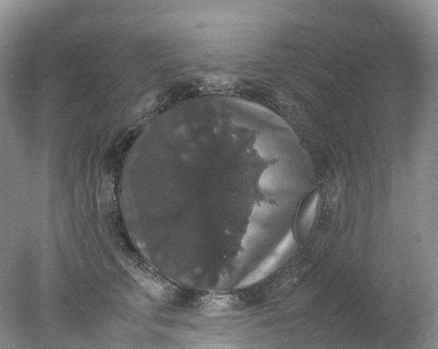 X0000078020711200611101847