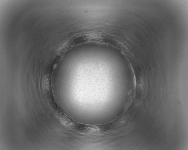 X0000078020715200611101847