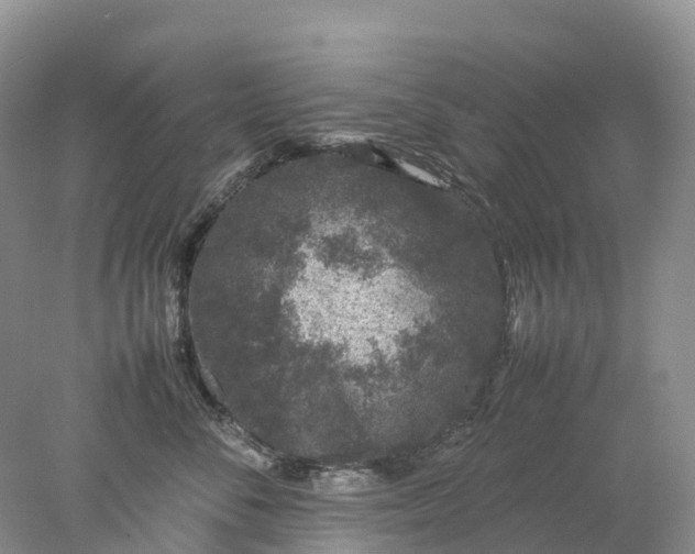 X0000078020716200611101847