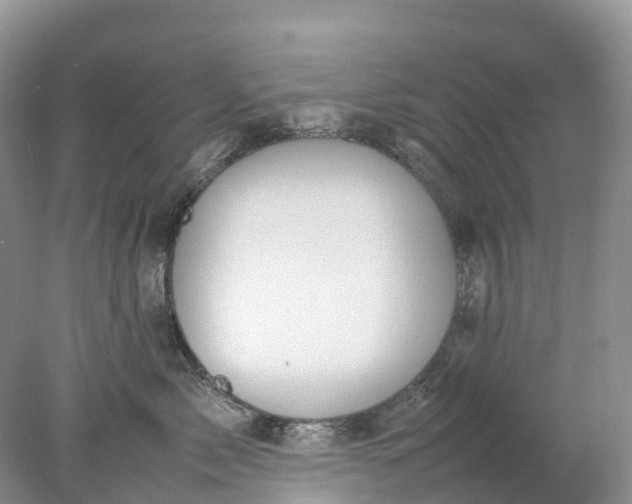 X0000078020717200611101847