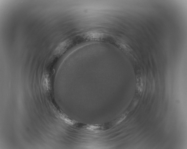 X0000078020718200611101847