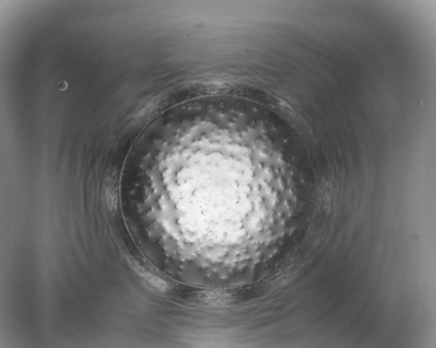 X0000078020719200611101847