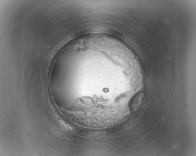 X0000078020721200611101846