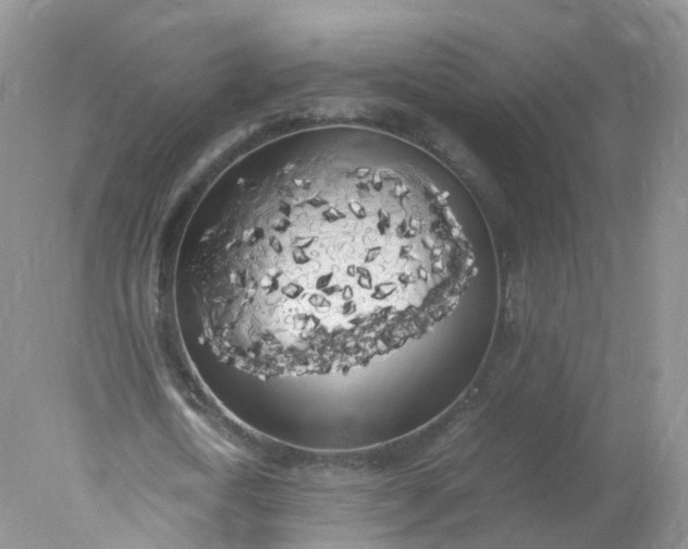 X0000078020722200611101846