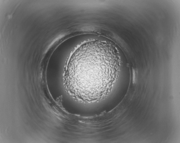 X0000078020723200611101846