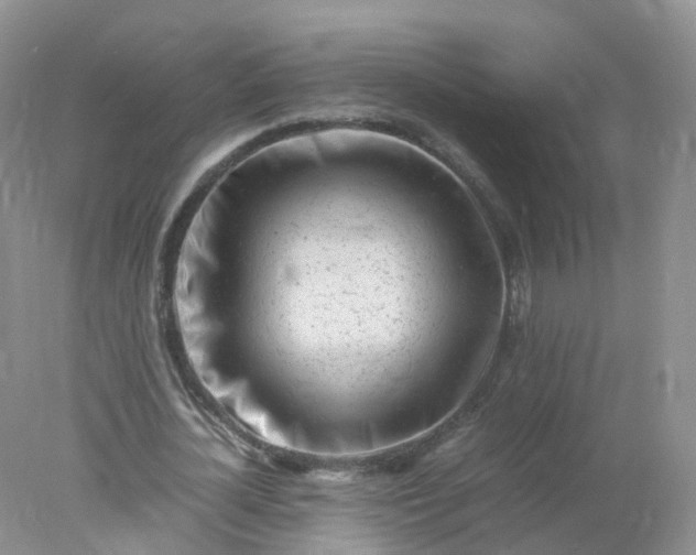 X0000078020724200611101846