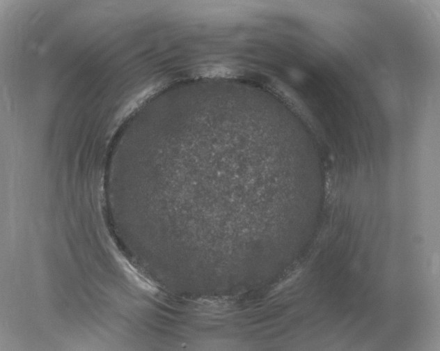 X0000078020725200611101846