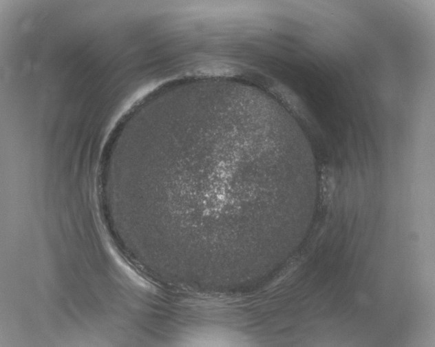 X0000078020726200611101846