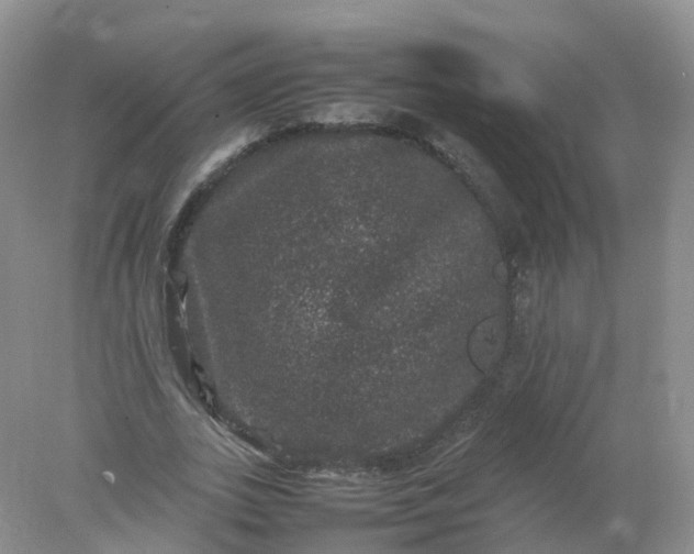 X0000078020727200611101846