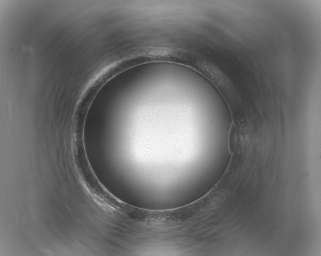 X0000078020728200611101846