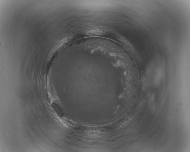 X0000078020729200611101846