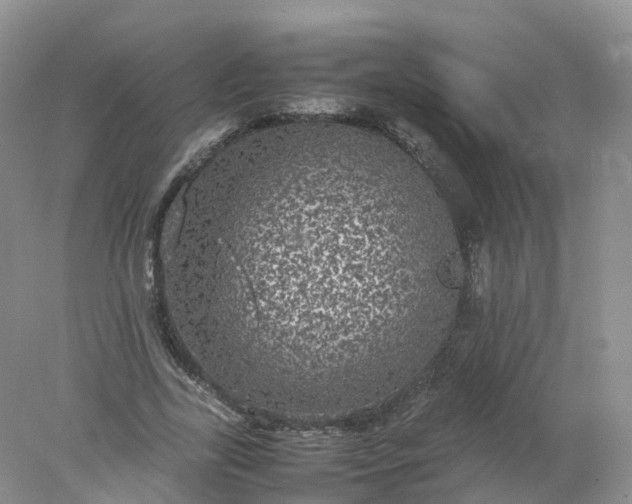 X0000078020731200611101846