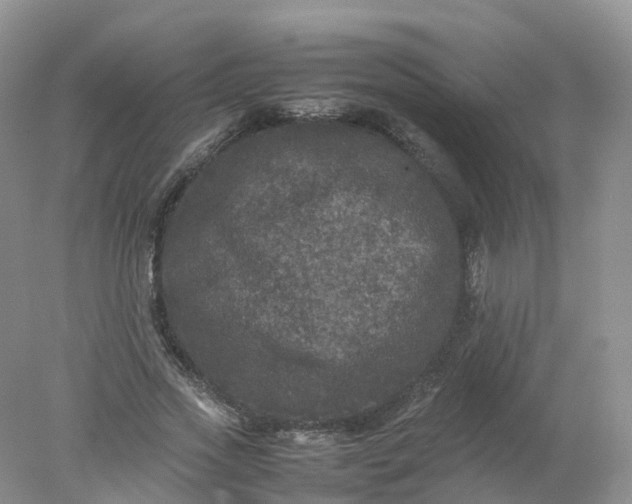 X0000078020733200611101846