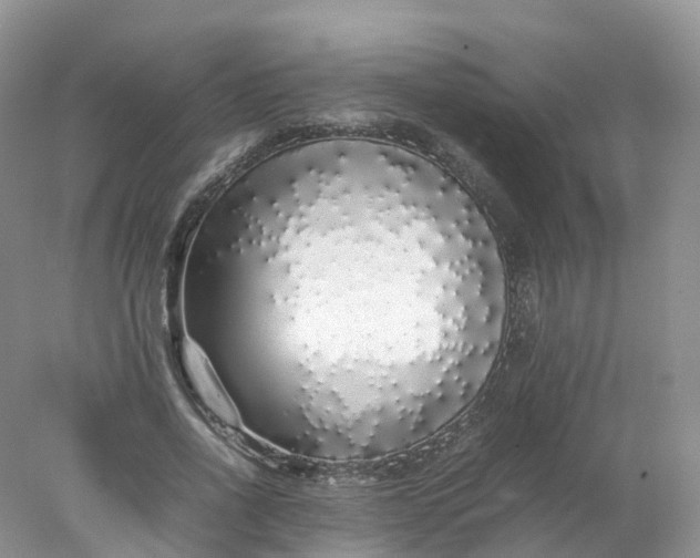 X0000078020734200611101846