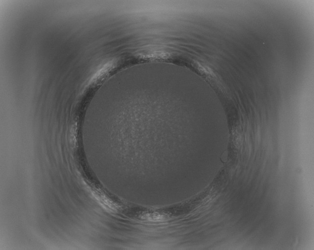 X0000078020735200611101846