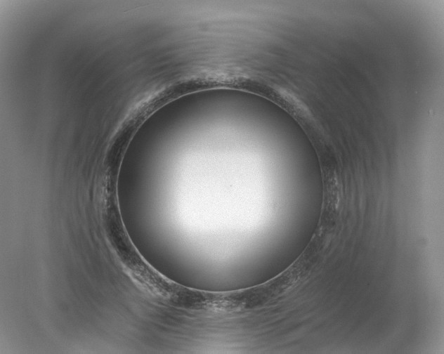 X0000078020736200611101846