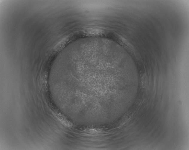 X0000078020737200611101846