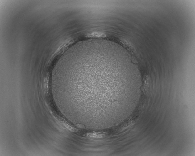 X0000078020739200611101846