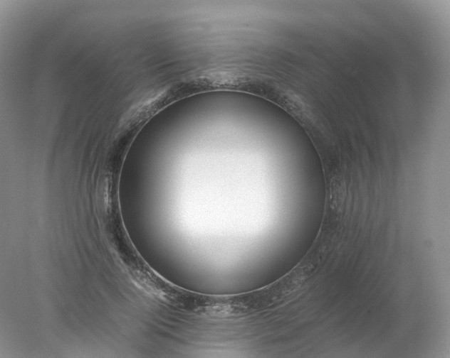 X0000078020740200611101846