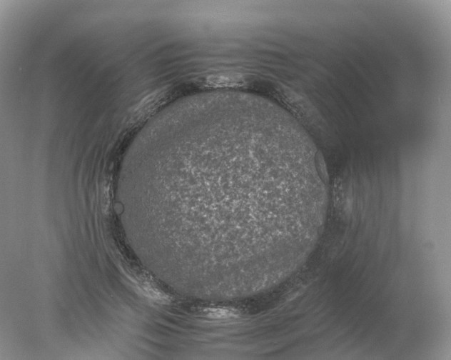 X0000078020741200611101846