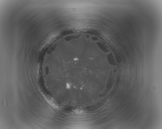 X0000078020742200611101846