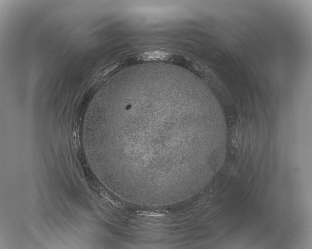 X0000078020743200611101846