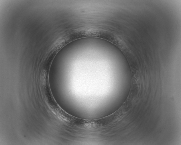 X0000078020744200611101846